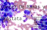 Cancer Prostata Mama 2