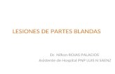 03 Lesiones de Partes Blandas(1).ppt