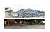 Programa de s.o. Bolivariana de Minerales