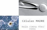 Expo Celulas Madre (1)