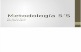 metodologia5s original 1990