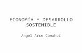 Economia y Desarrollo Sostenible