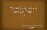 Expo Metabolismo de Los Lípidos