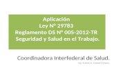 Ley 29783 Imple Part CIS 2013-Ing.ciudad(1)