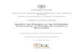 Gestion de Riesgos en Las Entidades Financieras El Riesgo de Credito y Morosidad