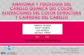 EXPOSICIÓN ESTRUC, Y CANTIDAD DE CABELLO.pdf