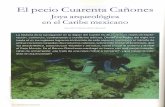 El Pecio Cuarenta Cañones Joya Arqueológica en El Caribe Mexicano