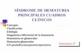 Seminario 9º Hematuria (1)