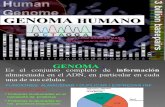Genoma Humano_Genetica