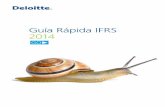 Guia Rapida IFRS 2014