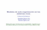 02 Modelos Auto-Organizacion 15 I