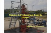 Curso Metodos de Produccion de Pozos de Petroleo