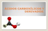 10. Acidos Carboxilicos y Derivados