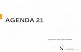 002-AGENDA 21.pdf