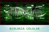 Biologia Celular Terminado