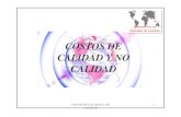 COSTOS DE CALIDAD Y NO CALIDAD.pdf