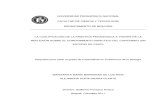 LA CUALIFICACI�N DE LA PR�CTICA PEDAG�GICA A TRAV�S DE LA REFLEXI�N SOBRE EL CONOCIMIENTO DID�CTICO DEL CONTENIDO (UN ESTUDIO DE CASO).pdf