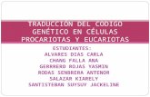 TRADUCCIÓN DEL CODIGO GENÉTICO EN CÉLULAS PROCARIOTAS Y EUCARIOTAS.ppt