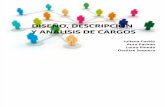 Diseño, Descripcion y Analisis de Cargos