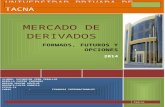 Monografia de Mercado de Derivados-fichas Textuales