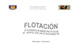 Flotacion - Fundamentos y Aplicaciones (Sergio Castro).pdf