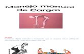 Pts-sso-006 Manejo Manual de Cargas