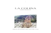La Colina (versión final).docx