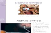Nervio Óptico Zoraida Optom