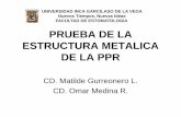 Ppr Tema 10 Prueba de La Estructura Metalica, Tema 11 Rim Raf