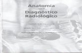 Anatomía Para El Diagnóstico Radiológico