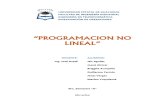 IO EquipoB Informe Programacion No Lineal