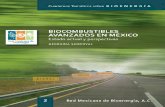 Biocombustibles Avanzados en México REMBIO