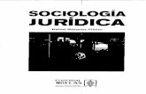 Sociología Juridíca, Rafael Marquez Piñedo