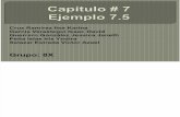 CAP 7 EJEMPLO 7.5