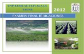 Examen Irrigaciones Ultimo