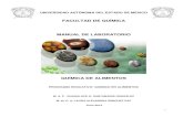 Manual Quimica Alimentos 2014