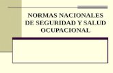 Normas nacionales en Seguridad y Salud Ocupacional.ppt