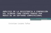 Presentacion 1 - Analisis de La Resistencia a Compresion Del Alumina