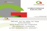 Convivencia Escolar 2014-2015 Definitiva