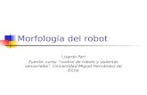 Morfología Del Robot