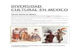 Diversidad Cultural en Mexico