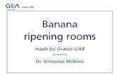 Banana Ripening CEE05