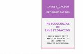 METODOLOGIAS DE INVESTIGACION.pptx