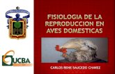 FISIOLOGIA DE LA REPRODUCCION EN AVES DOMESTICAS.pdf