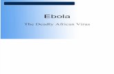 Ebola Fix Presentasi