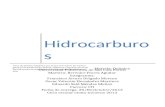 Investigación Hidrocarburos