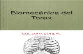 Biomecánica Del Torax y La Respiración 2012
