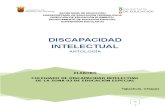 01 Discapacidad Intelectual