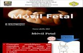 Movil Fetal 2
