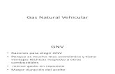 Gas Natural Vehicular Ppt